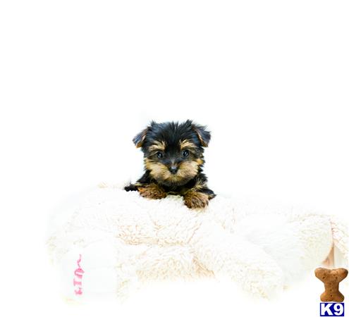 addisongood Picture 3